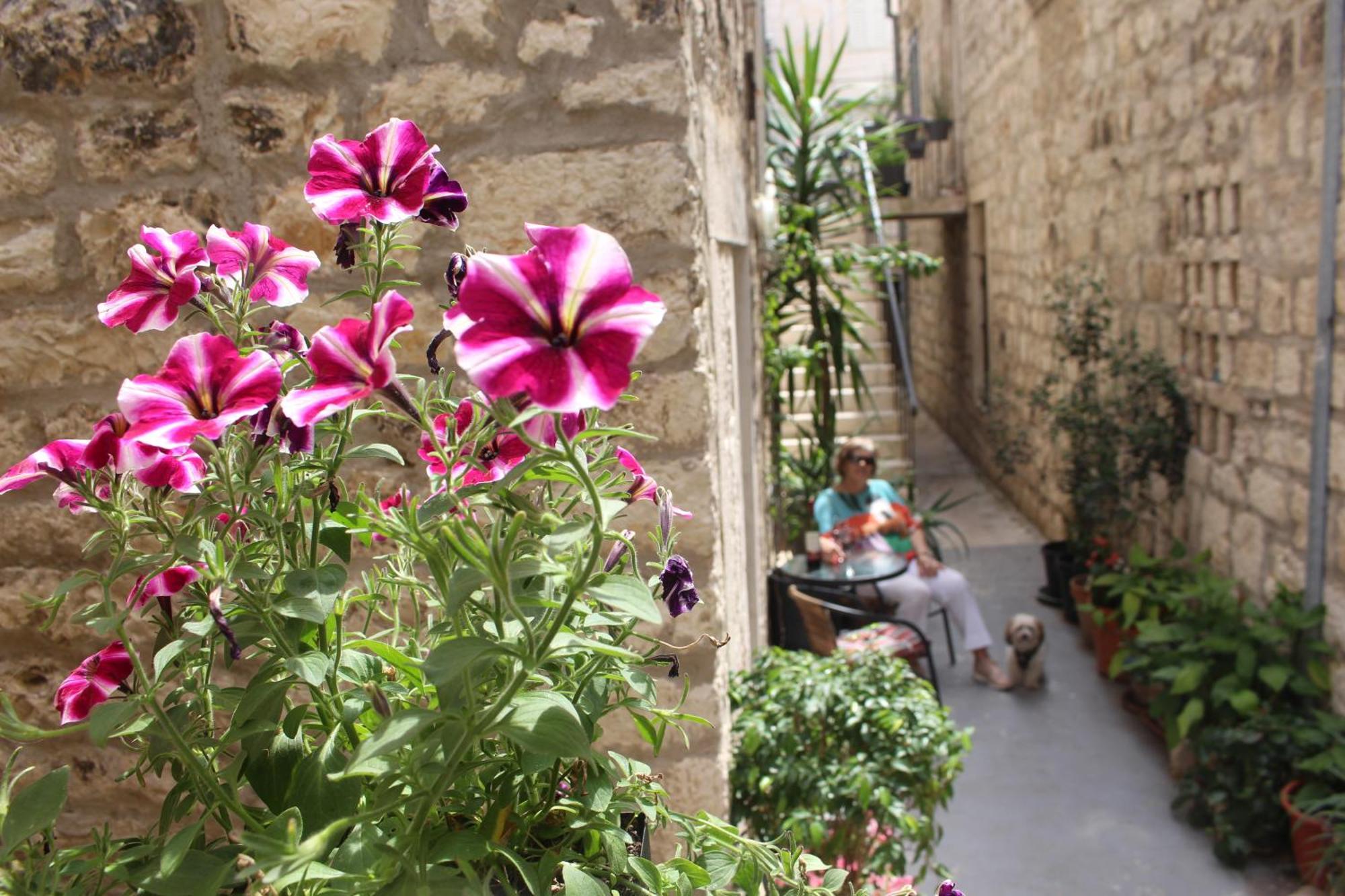 Street Garden Apartment Hvar Town Extérieur photo