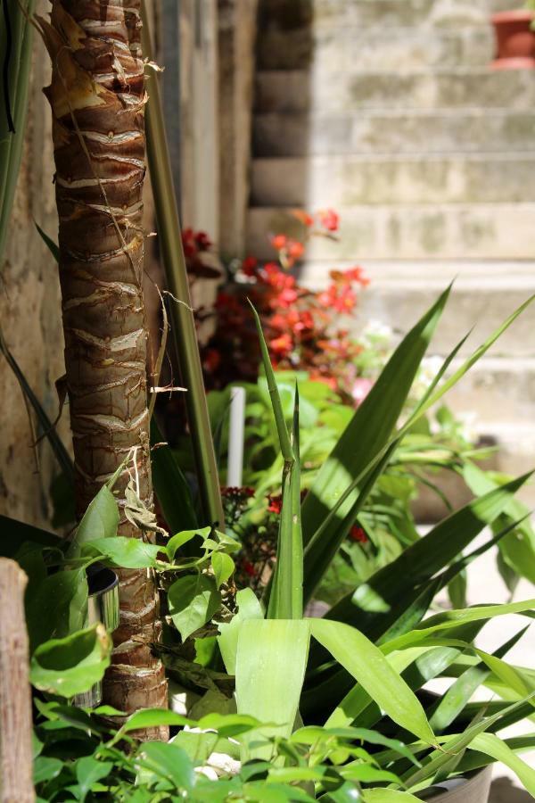Street Garden Apartment Hvar Town Extérieur photo